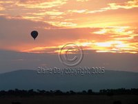 Hot-air balloon safari, Masai Mara, Kenya