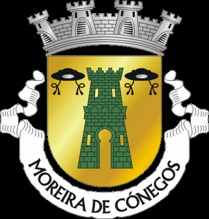 Image result for moreira de conégos