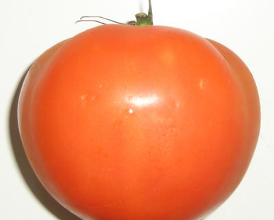 Ceci n'est pas un tomate