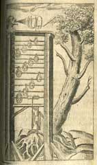 Wilkins's picture of machine for uprooting tree