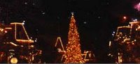 Disneyland MainStreet Christmas Tree 2005