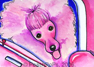 Pink Poodle in a car painting
