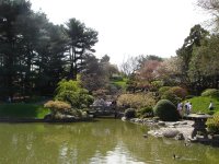 Japanese Garden in the Brooklyn Botanical Garden