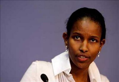 Valenta Hirsi