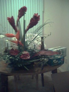 giant flowers for Stink Pants' 26th