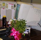 My old monitor and my jade plant