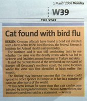 Cat found with bird flu in Germany