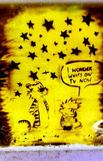 Calvin and Hobbes Grafitti:I wonder what's on TV?