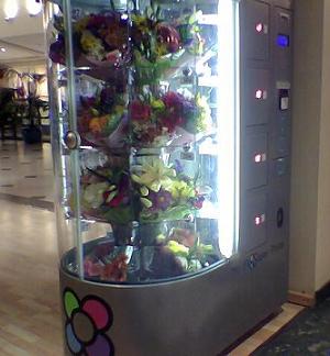 Entre flores de colores