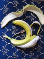 stilleven met bananen