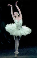 Got this from www.nycballet.com