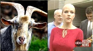 image: bbc goat and deb lafave