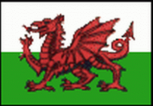 King Arthur and the Red Dragon Of Wales defeated the Anglo-Saxon with their White Dragon..Hence Welsh play sports in Red and the English national colour is White..However it appears that was the very last time Wales beat England in anything..sobeit...This is the rationale for the Welsh waiting for King Arthur to return...or Jesus