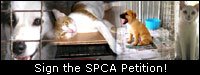 SPCA banner