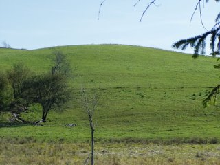 Emerald Hills