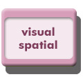 visual/spatial