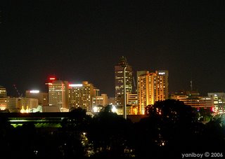 city lights 2006