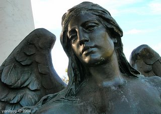 angel of mercy 2006