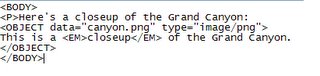 Optimisation du Flash selon les normes W3C, avec la balise Object