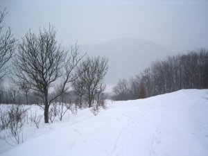 View in February 2006