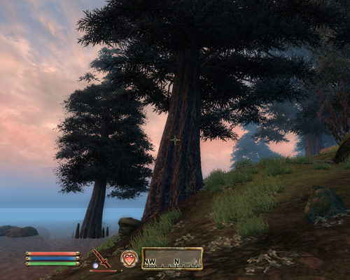 The Elder Scrolls: Oblivion