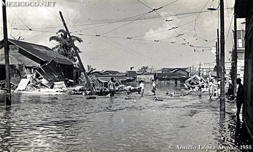 Isla De Lobos [1955]