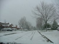 Looking down Jasmine Crescent in the snow