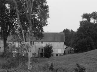 Barn in shades of Grey