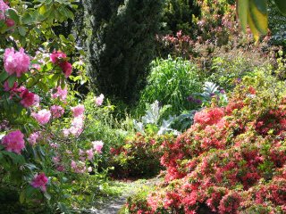 Abkhazi Gardens