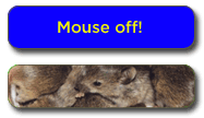 Mice!