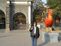 beijing zoo