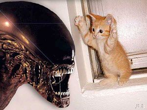 alien_vs_cat.jpg