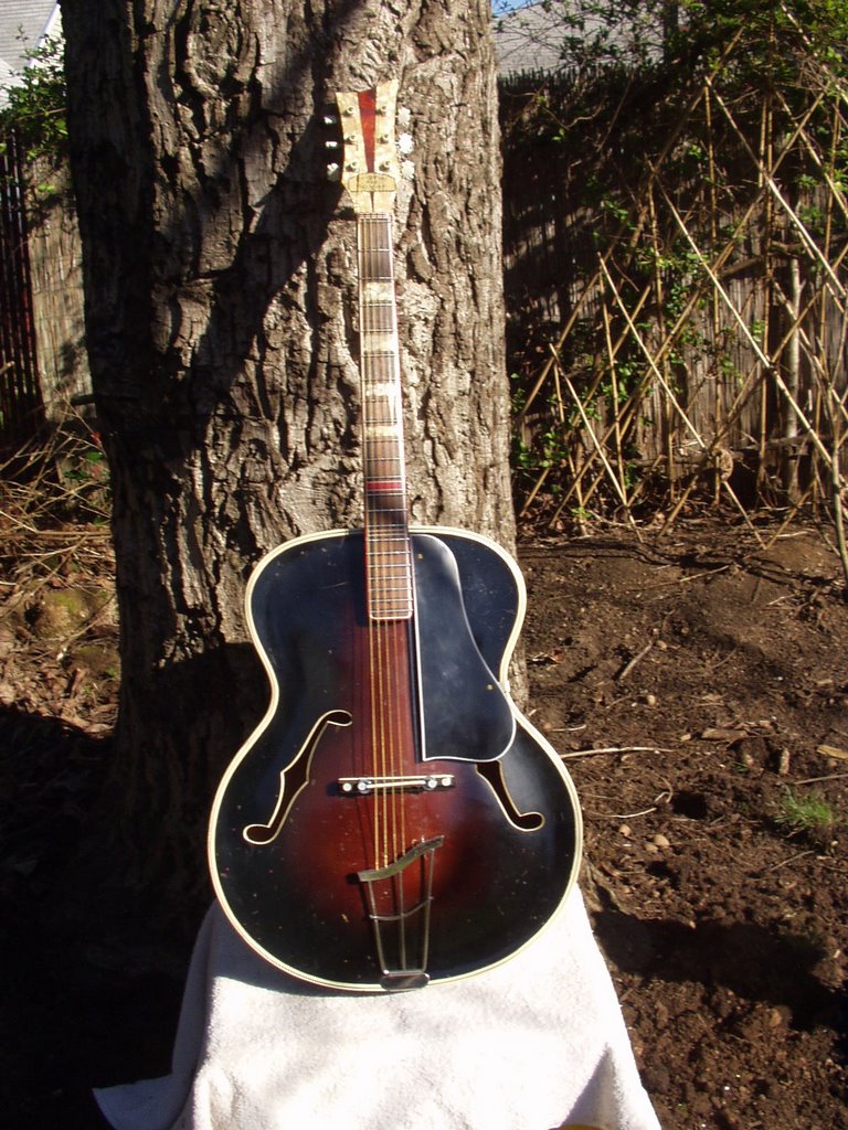 vintage Vintage guitars portland Guitars vintage Vintage guitars portland Guitars