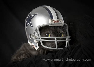 Meow Ming in Dallas Cowboys helmet