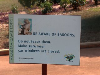 BE AWARE OF BABOONS.  Do not tease them.  Make sure your car windows are closed.