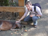 Me petting a big kangaroo.