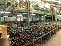 The inside of the bike hire store. I've never seen so many bikes!