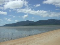 The mudflats along the shore of Cairns.