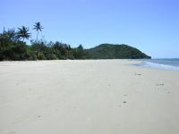 The beach right by my hostel! That's Cape Tribulation behind the beach.