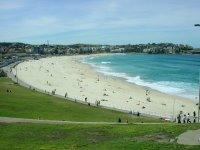 Bondi Beach from up on the hill to the west. A beautiful beach!