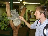 me poking a koala yesteday.