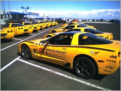 Bondurant Corvettes lined up at the race track