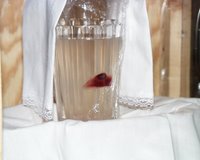 Dallas Eucharistic Miracle