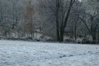 neve