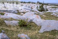 The rough terrain of the Canadian Shield