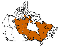 Map of the Canadian Shield