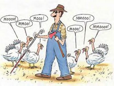 A blind farmer goes out to the Turkey pen with his axe to find a suitable bird.  Unfortunately, it would appear that all the Turkeys have learned to MOO like cows, so the poor farmer walks right by them.