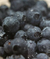Blueberries are high in antioxidants