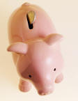 Pre-tax Piggy