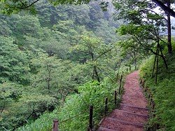 A walking trail in Tamashinrinkagakuen